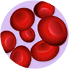 blood cells