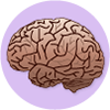 Brain